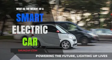 Exploring the Lightweight Design of Smart Electric Cars: Weight Revealed