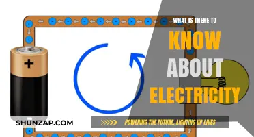 Electricity 101: Understanding the Power that Lights Up Our Lives