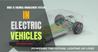 Thermal Management: The Secret to EV Efficiency and Performance