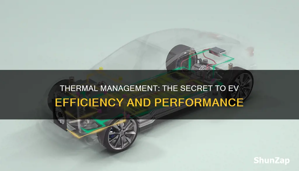 what is thermal management system in electric vehicles