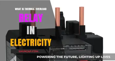 Thermal Overload Relays: Protecting Electrical Systems from Overheating