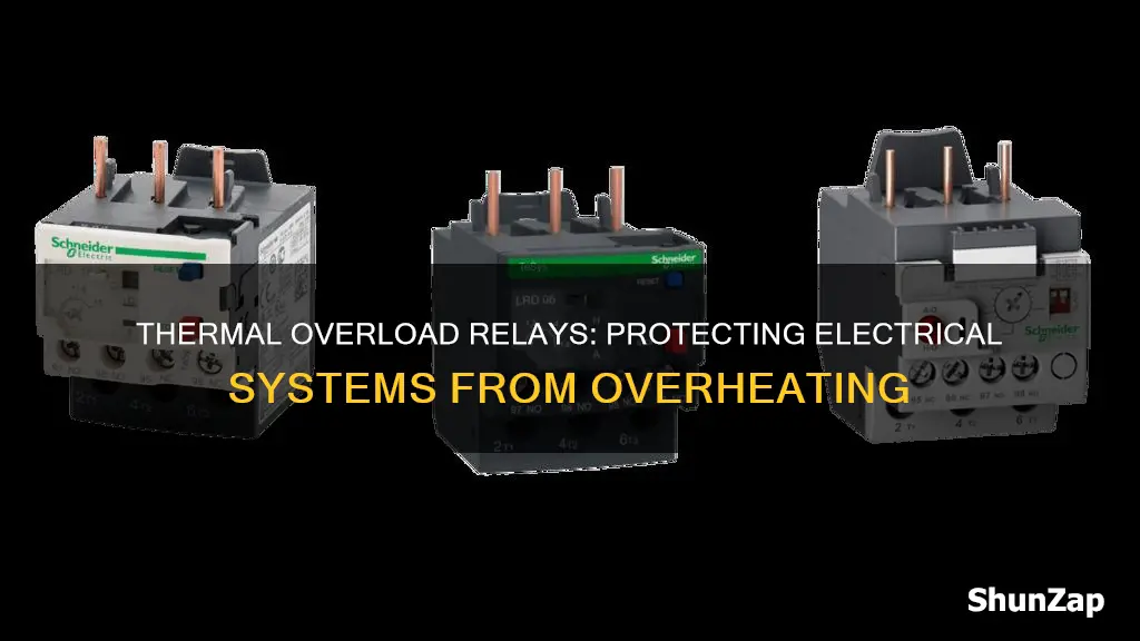 what is thermal overload relay in electricity