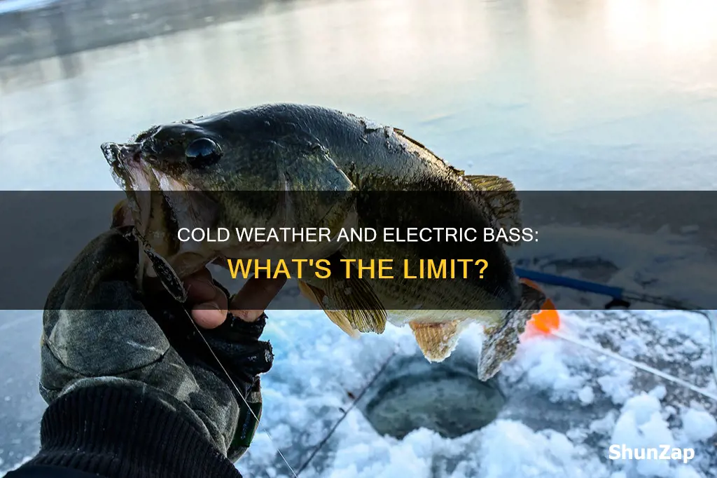 what is too cold for electric bass