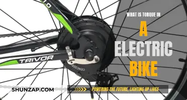 Understanding Electric Bike Torque: Power and Performance Explained