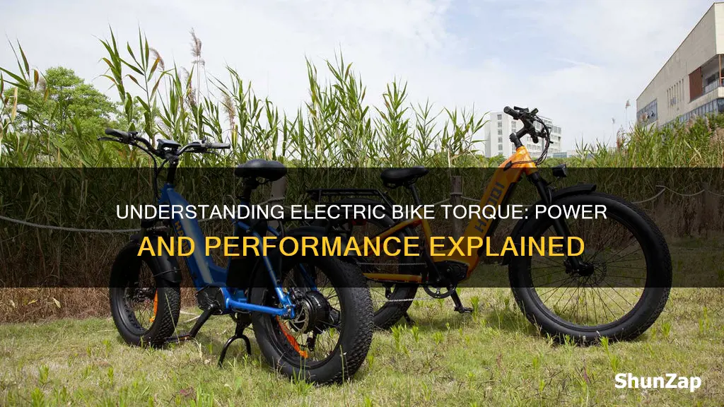 what is torque in a electric bike