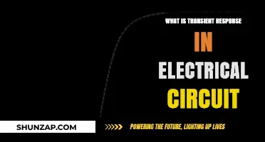 Understanding Transient Response in Electrical Circuits