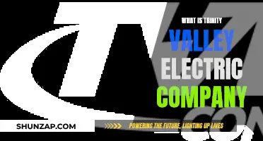 Unveiling the Power of Trinity Valley Electric: A Comprehensive Overview