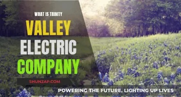 Trinity Valley Electric Company: A Comprehensive Overview