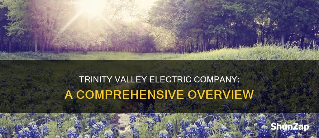 what is trinity valley electric company