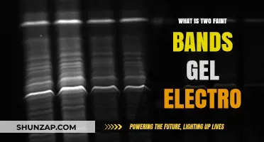 Gel Electrophoresis: Faint Bands, Big Problems?