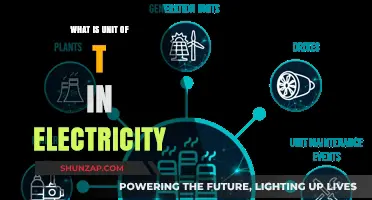Understanding the Basics: Electrical Unit T