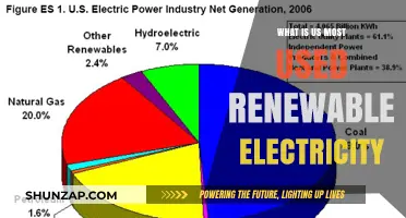 Top Renewable Electricity Sources Powering the United States Today