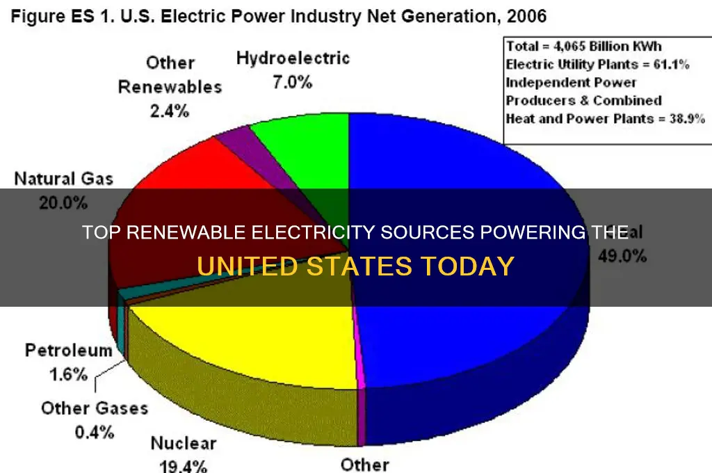what is us most used renewable electricity