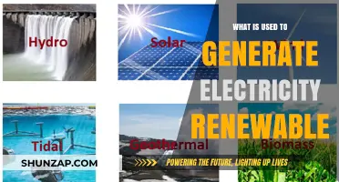Harnessing Nature's Power: Renewable Sources for Electricity Generation