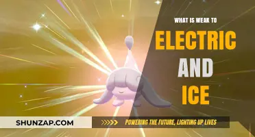 Electric and Ice: Who's Weak to This Combo?