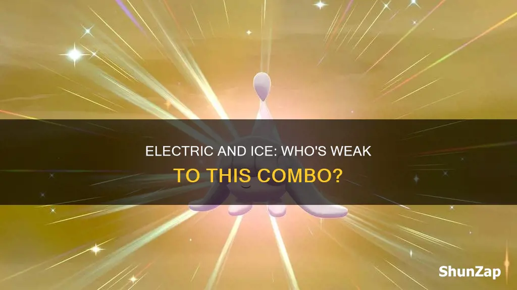 what is weak to electric and ice