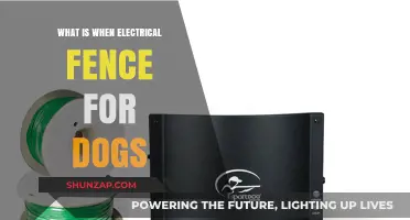 Electric Fences: Keeping Dogs Safe and Secure