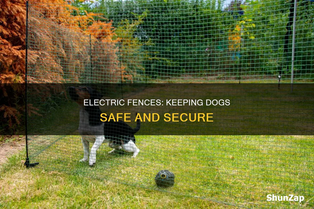 what is when electrical fence for dogs