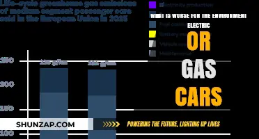 Electric vs. Gas Cars: Which is Worse for the Environment?