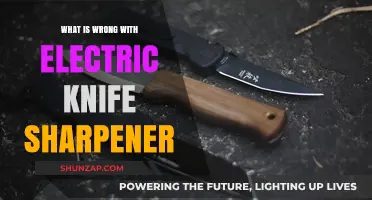 Electric Knife Sharpeners: What You Need to Know