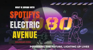 Spotify's Electric Avenue: What's the Problem?