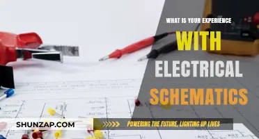 Electrical Schematics: My Experience and Insights