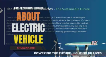 Revolutionizing the Road: First Impressions of Electric Vehicles