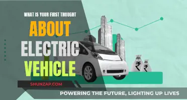 Electric Vehicles: My First Impressions and Thoughts