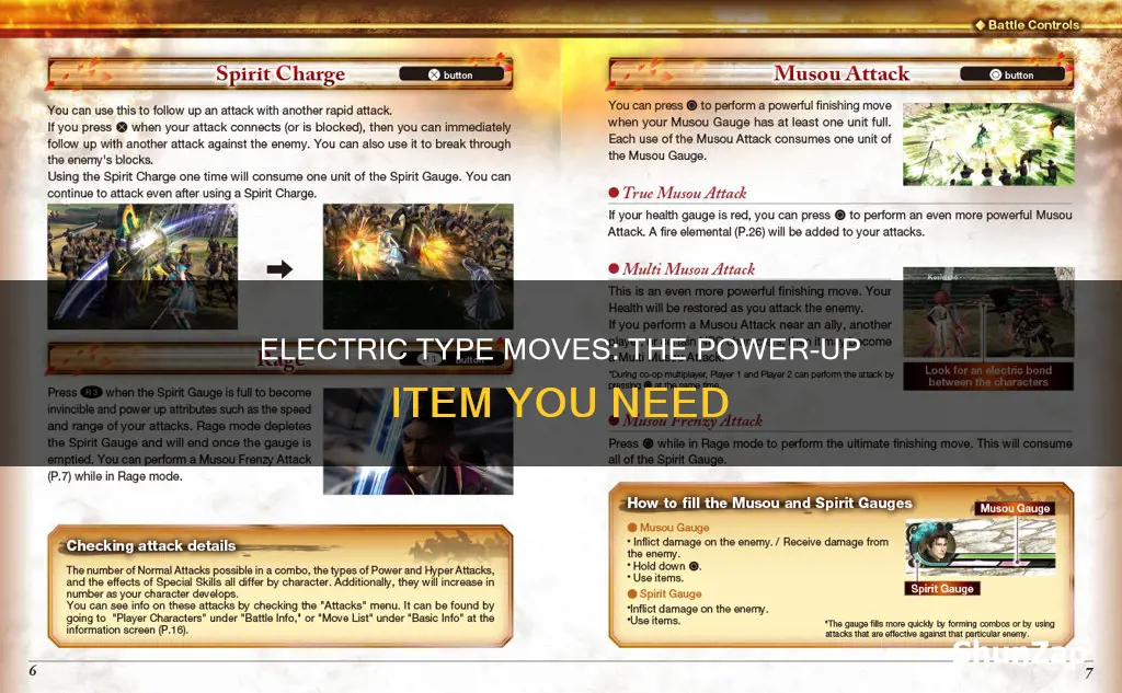 what item powers up electric type moves
