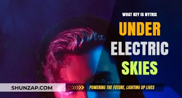 Nytrix's Under Electric Skies: A Musical Journey