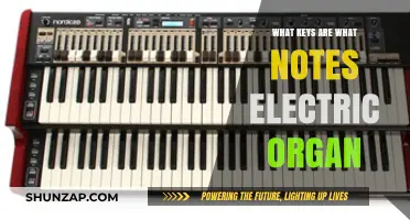 Electric Organ Basics: Keys, Notes, and Music