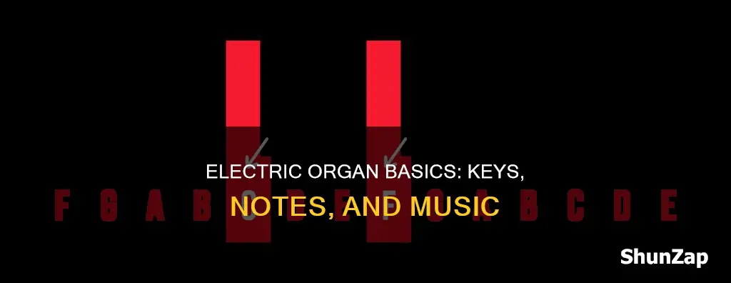 what keys are what notes electric organ
