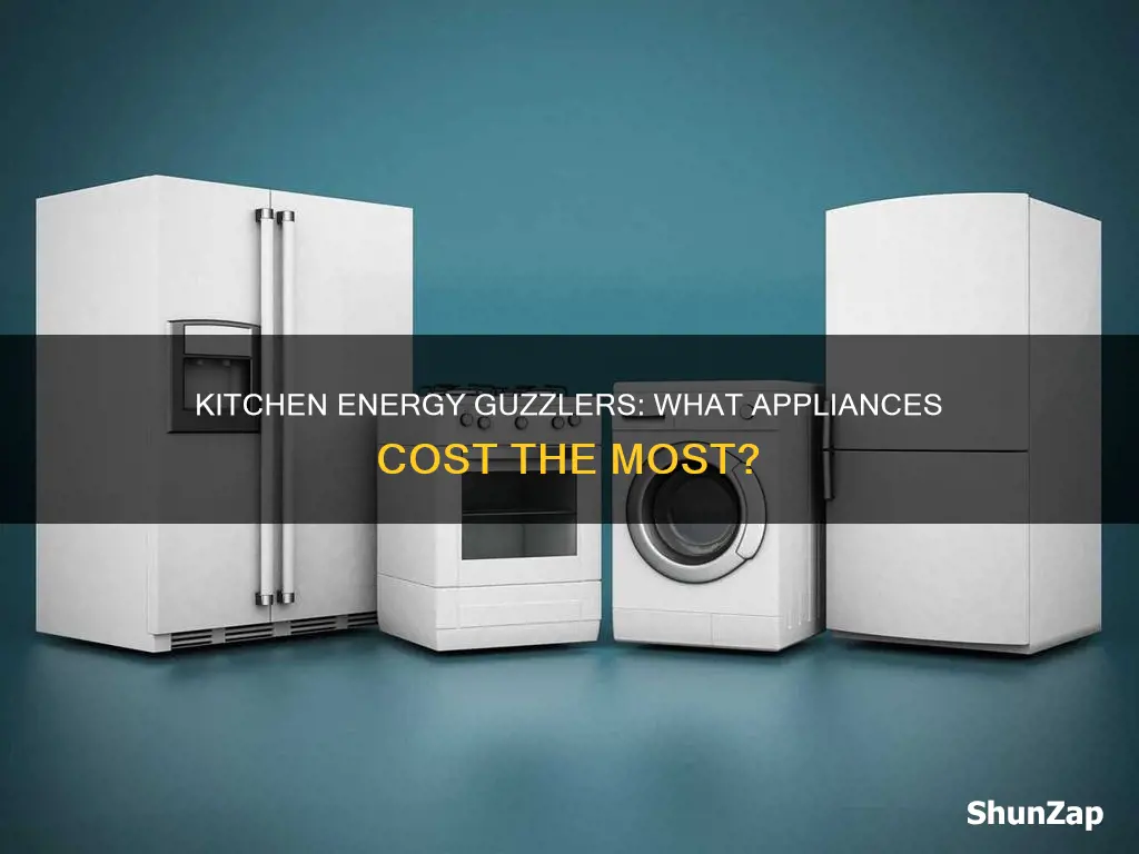 what kichen applaice cossing the most electric