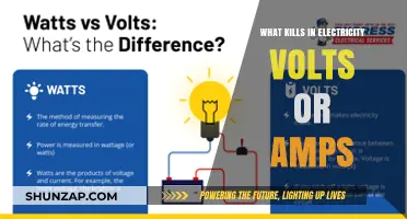 Voltage vs Amps: What's the Real Killer?