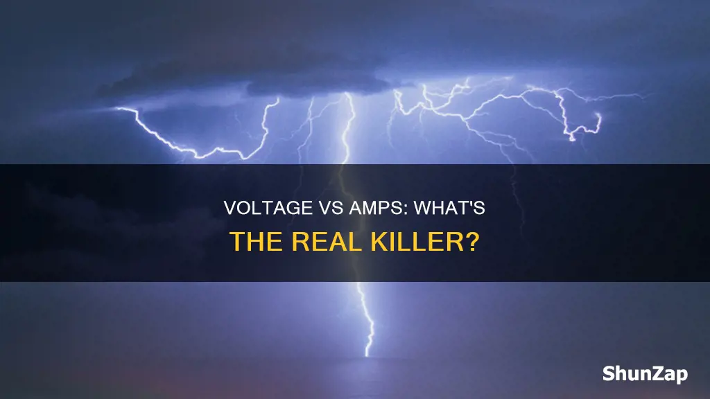 what kills in electricity volts or amps