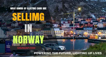 Exploring Norway's Electric Car Market: Popular Models and Top Sellers