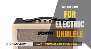 Electric Ukulele Amps: Choosing the Right One for You