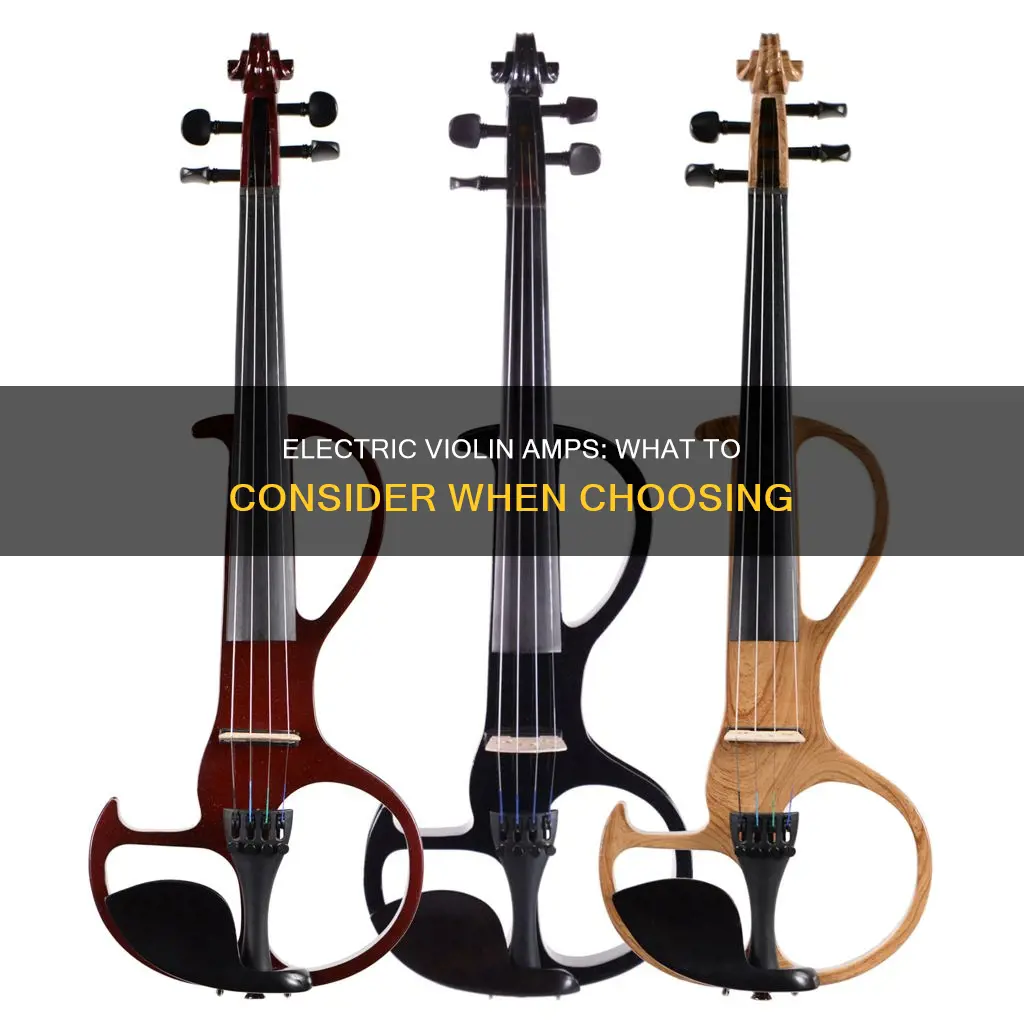 what kind of amp for electric violin