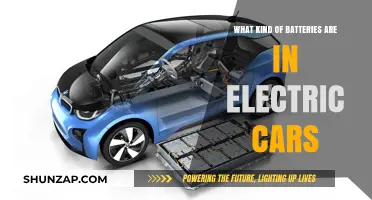 Exploring Electric Car Batteries: Types, Performance, and Sustainability