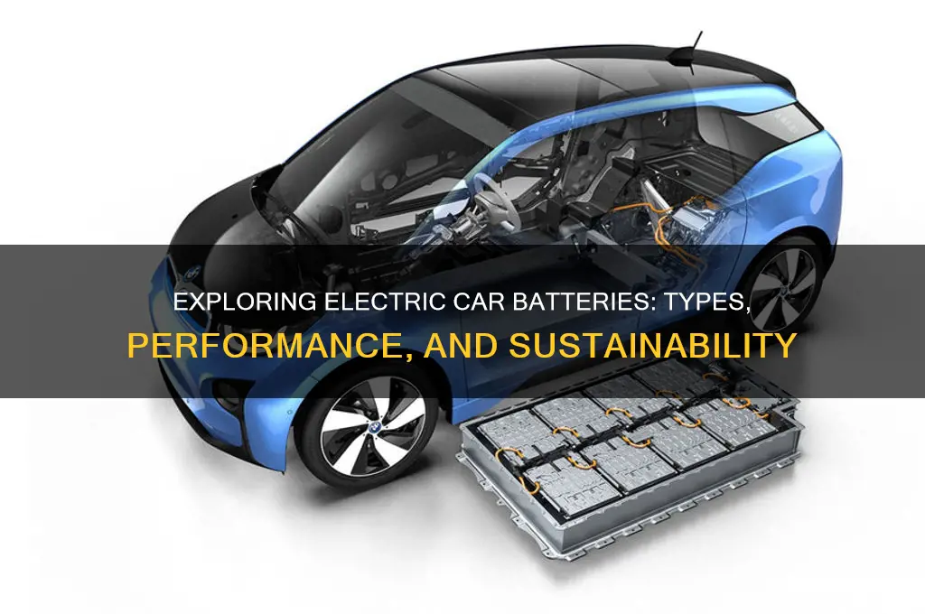 what kind of batteries are in electric cars