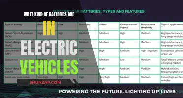 Powering Electric Vehicles: Exploring Battery Types and Technology