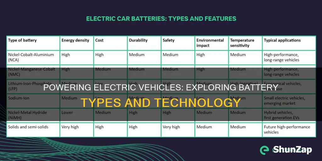 what kind of batteries are in electric vehicles