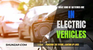 Electric Vehicle Batteries: Powering the Future of Transportation