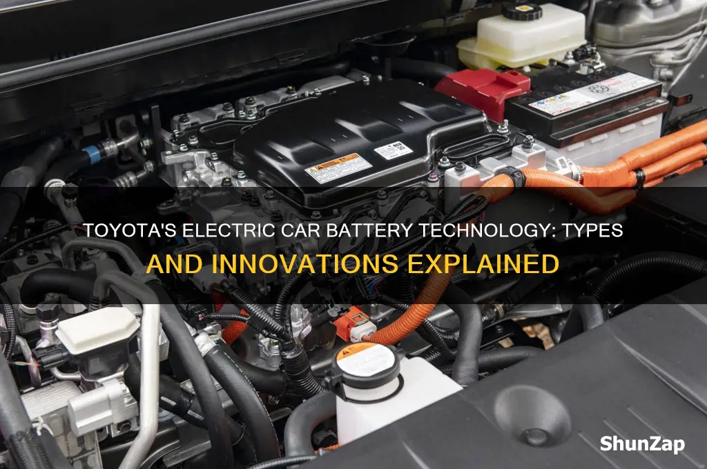 what kind of batteries toyota uses in electric cars