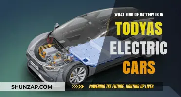 Exploring the Battery Types Powering Today's Electric Vehicles