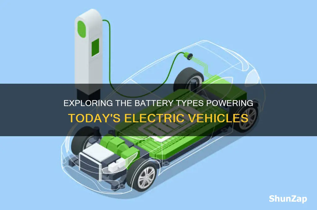 what kind of battery is in todyas electric cars