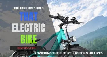 Electric Bike Revolution: What's Your Ride?