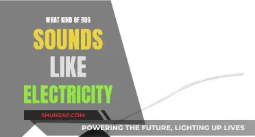 Buzzing Mystery: Insects That Sound Like Electricity Revealed