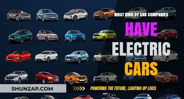 Exploring Car Brands Leading the Electric Vehicle Revolution Today