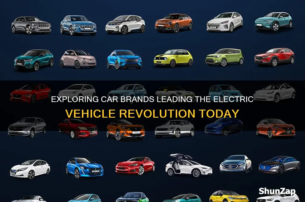 what kind of car companies have electric cars